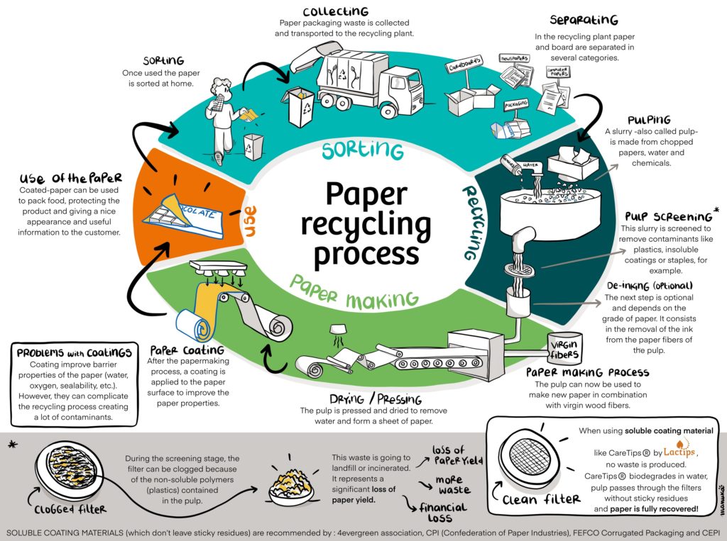 What is the paper recycling process?